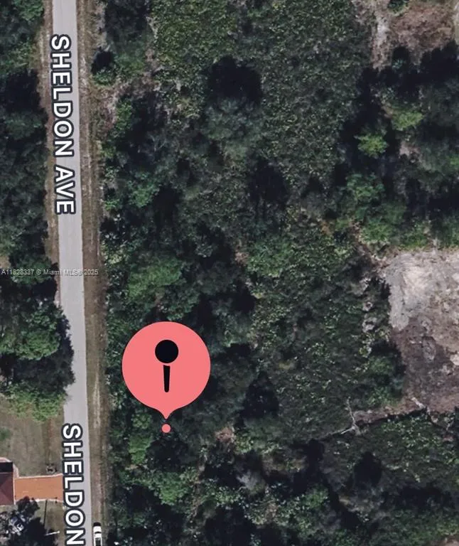 1110 Sheldon Ave, Lehigh Acres FL 33936