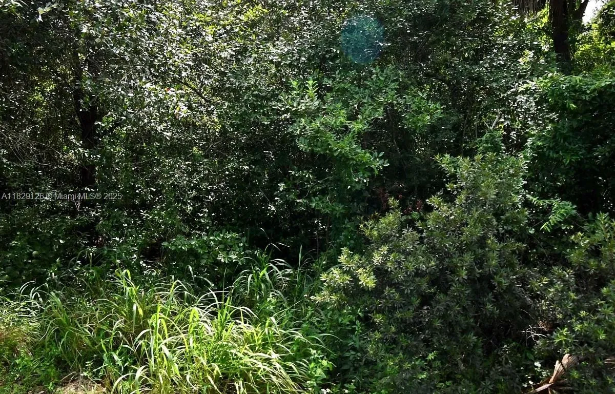 Dade Rd, Other City - In The State Of Florida FL 34982