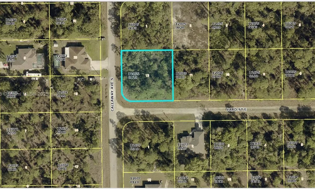 1017 Card St E, Lehigh Acres FL 33874