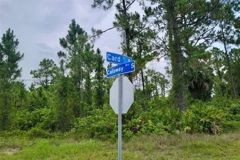 1017 Card St E, Lehigh Acres FL 33874