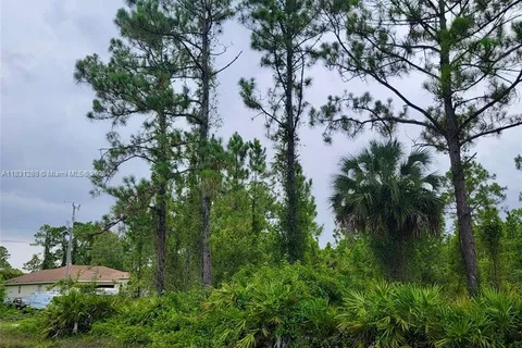 1017 Card St E, Lehigh Acres FL 33874