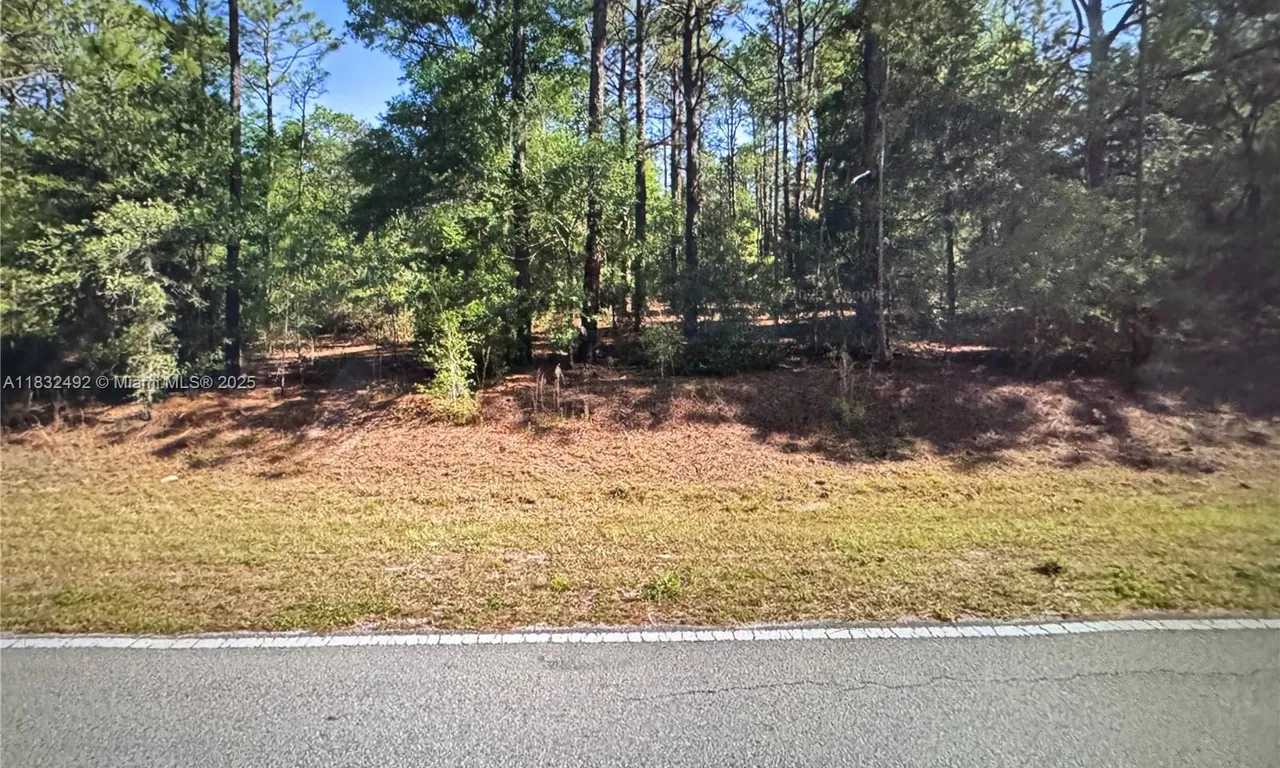 Dunnellon S Undermined, Other City - In The State Of Florida FL 34431