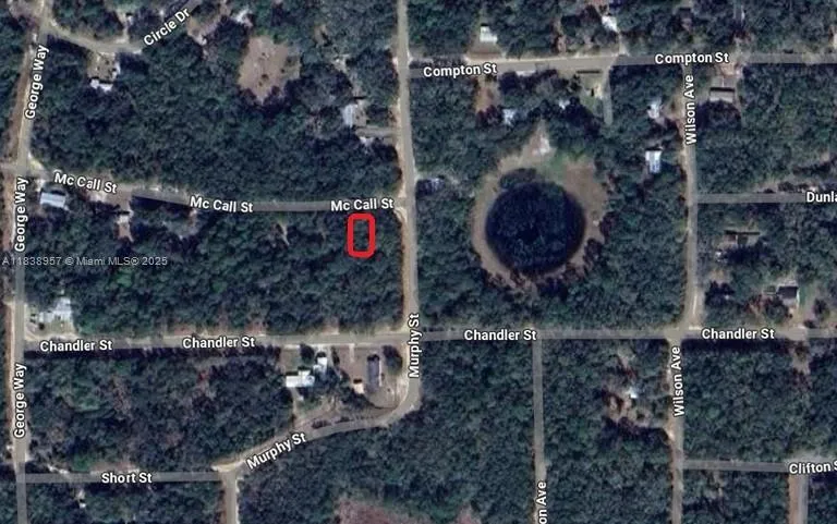 0 McCALL ST, Other City - In The State Of Florida FL 32148