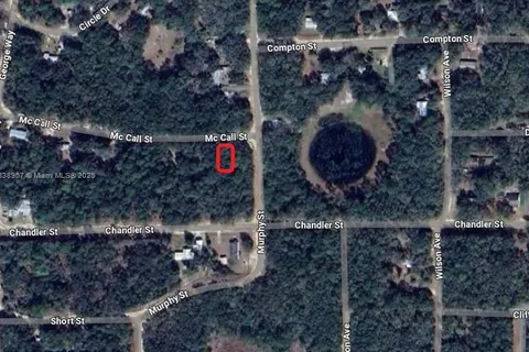 0 McCALL ST, Other City - In The State Of Florida FL 32148