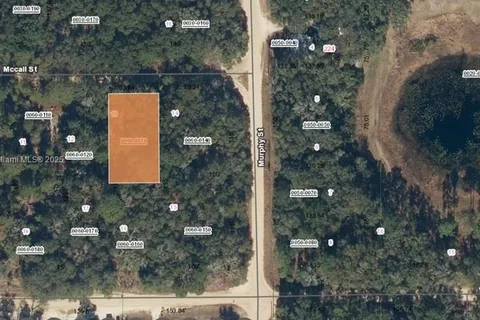 0 McCALL ST, Other City - In The State Of Florida FL 32148