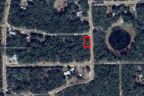 0 McCALL ST, Other City - In The State Of Florida FL 32148