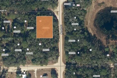 0 McCALL ST, Other City - In The State Of Florida FL 32148
