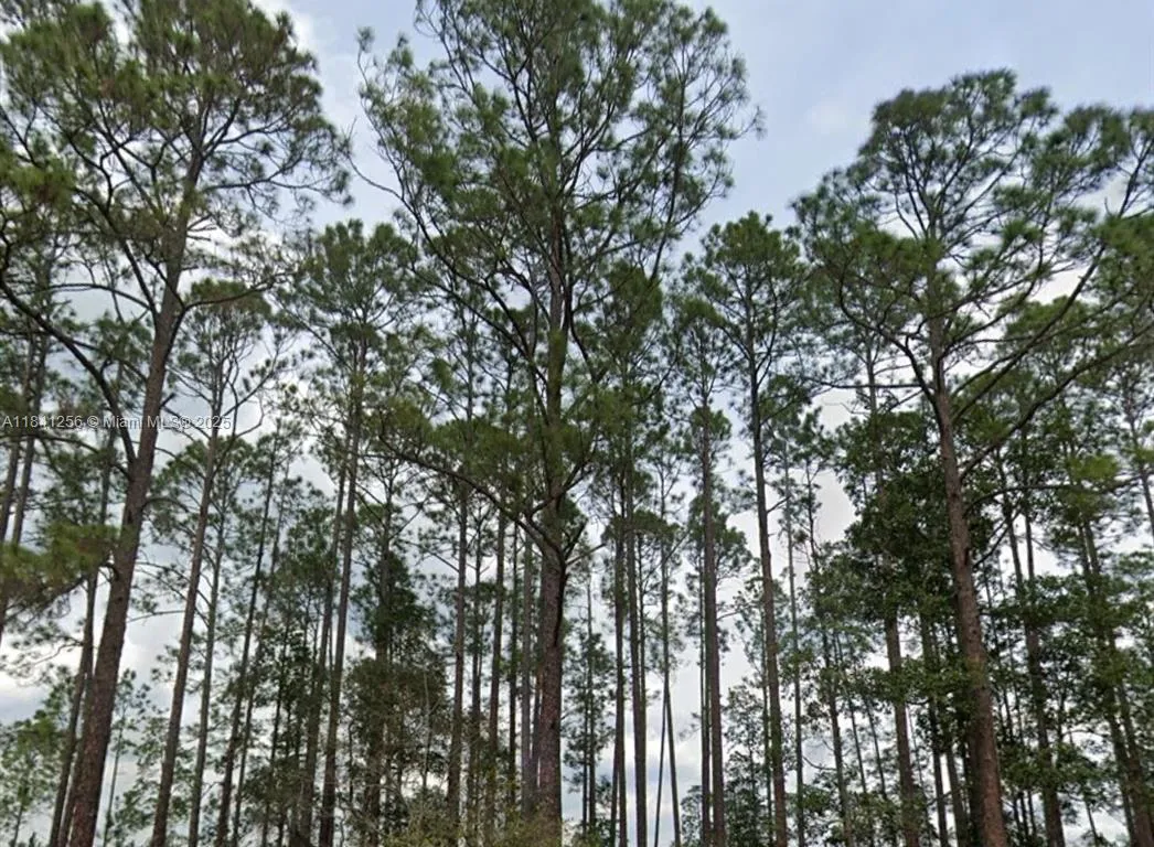 00 Greenley ST, Palatka FL 32148