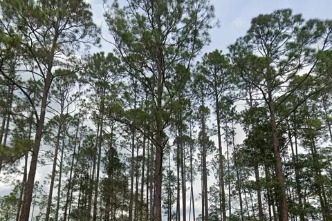 00 Greenley ST, Palatka FL 32148