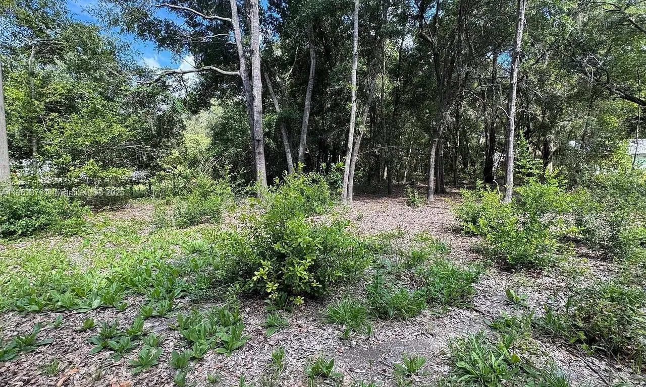 210 pines st, Other City - In The State Of Florida FL 32640