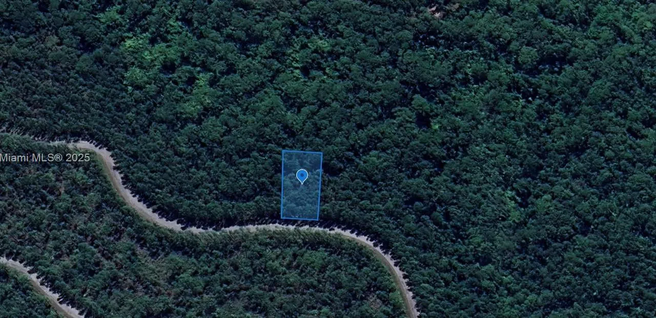 6306 Steve Drive, Avon Park FL 33872