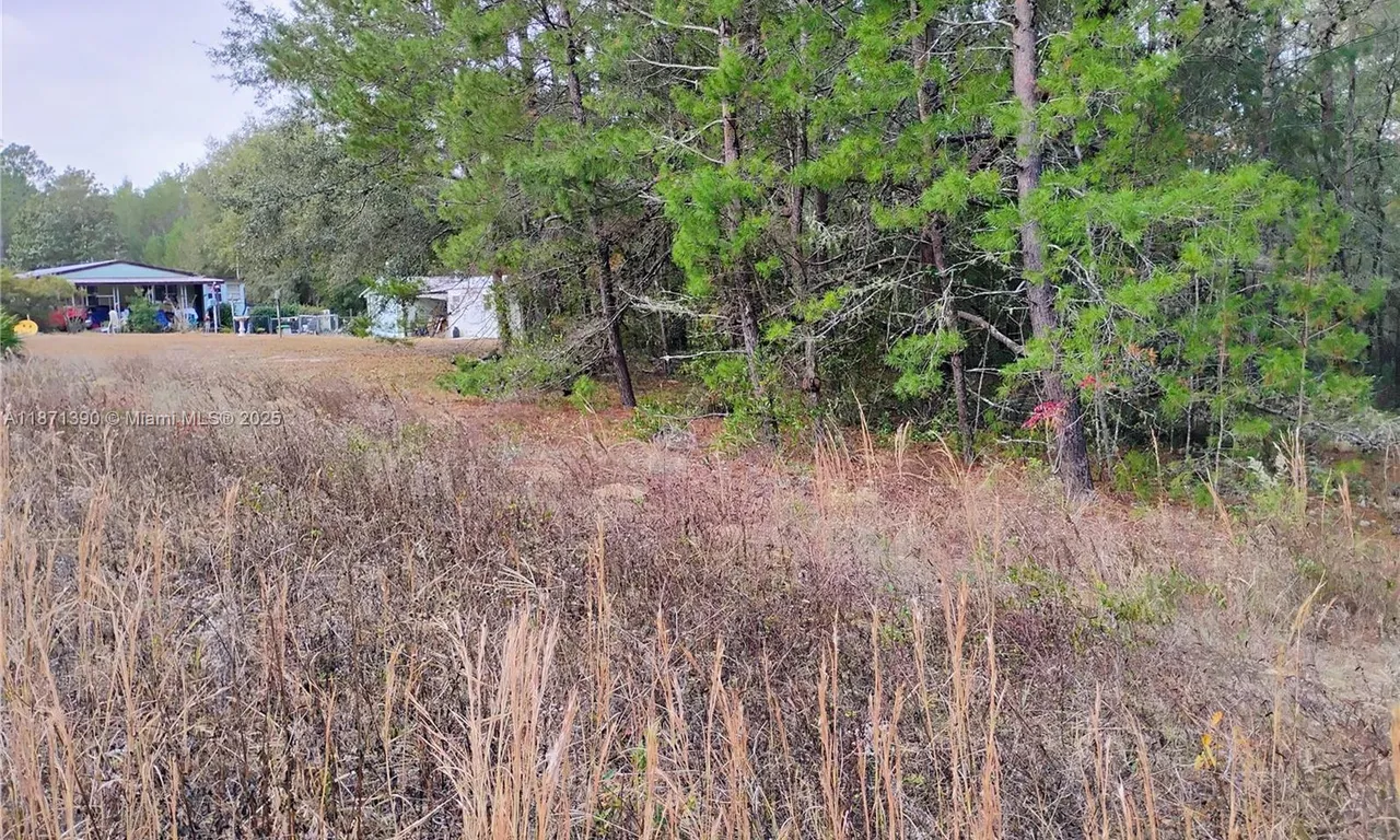 309 Wilson, Palatka FL 32148