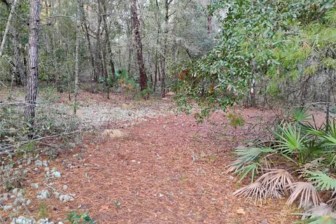 309 Wilson, Palatka FL 32148