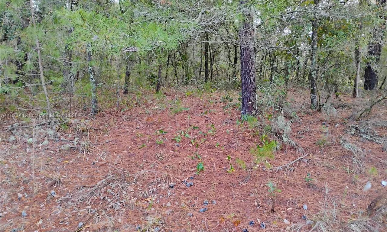 302 Kennedy, Palatka FL 32148