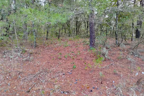 302 Kennedy, Palatka FL 32148