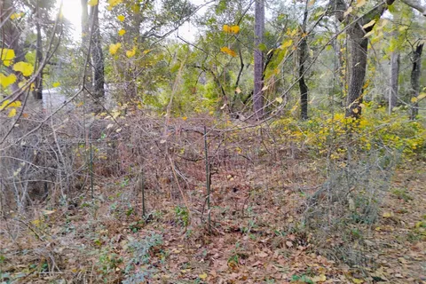 103 Antler, Palatka FL 32148