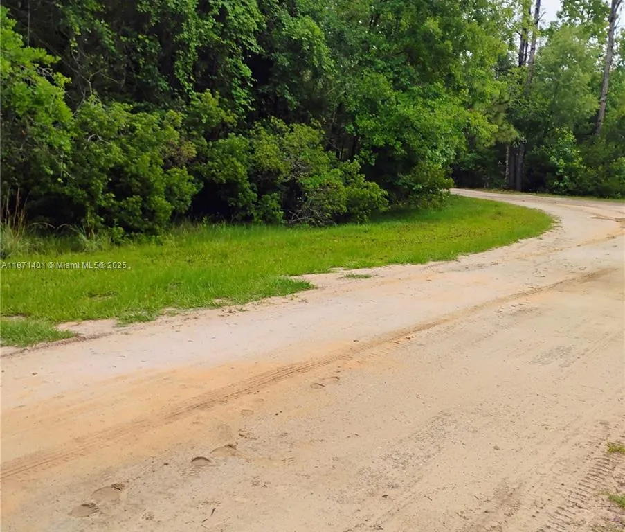 228 Atkins, Cresent City FL 32139