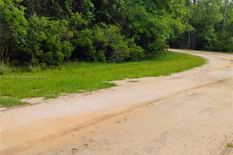 228 Atkins, Cresent City FL 32139