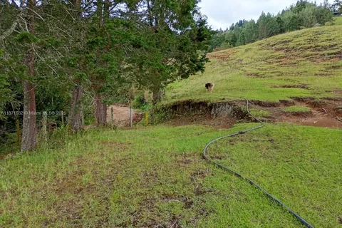 MUNICIPIO DE GUARNE, FL 2563