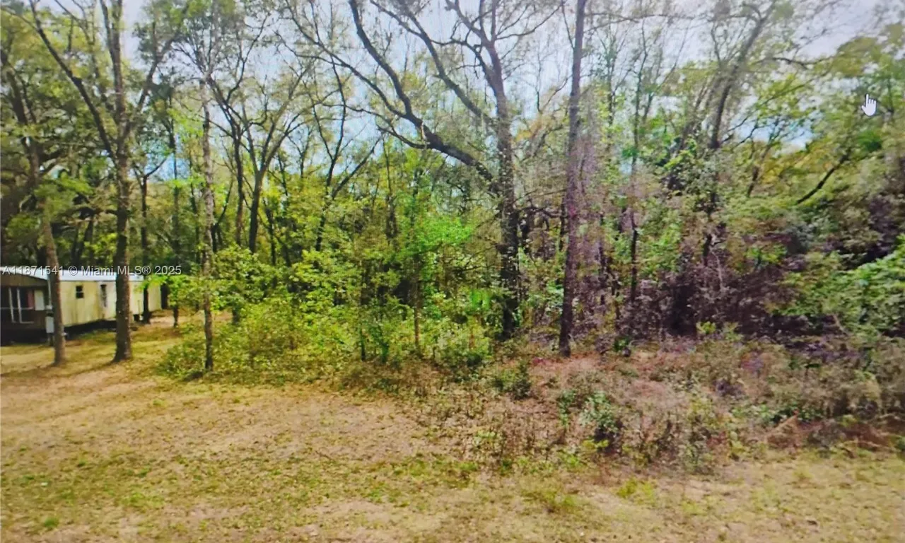 121 BUCKLES, Palatka FL 32148