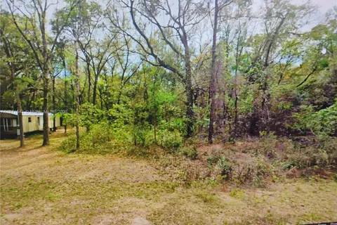 121 BUCKLES, Palatka FL 32148