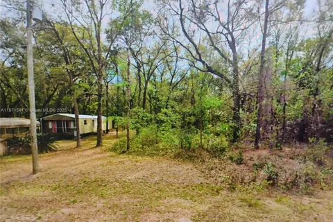 121 BUCKLES, Palatka FL 32148