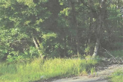 00 Adair Road, Davenport FL 33837