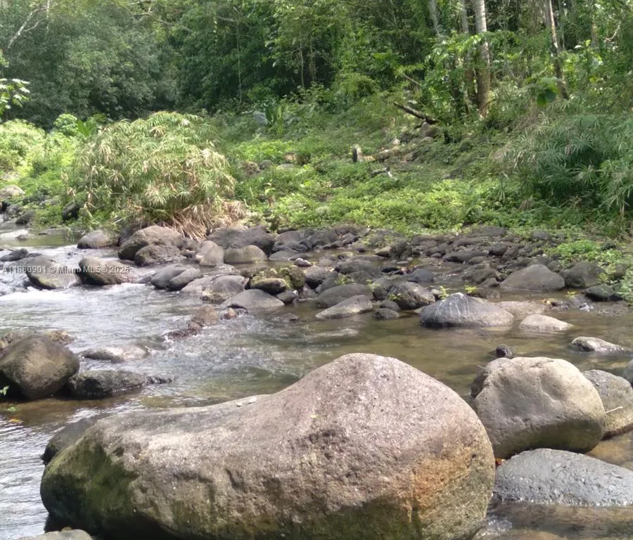 00 St. Mary, Jamaica, FL