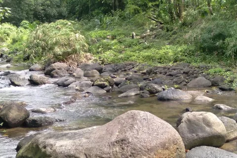 00 St. Mary, Jamaica, FL