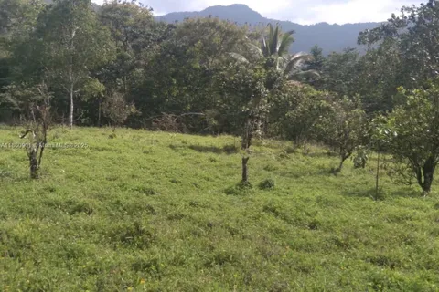 00 St. Mary, Jamaica, FL