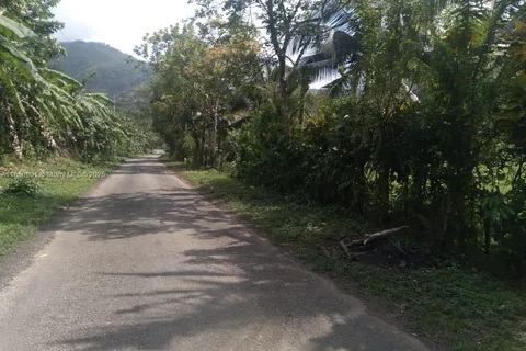 00 St. Mary, Jamaica, FL