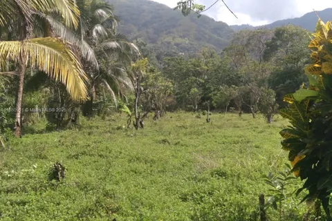 00 St. Mary, Jamaica, FL