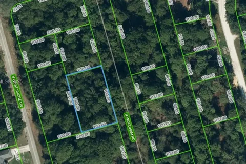 2541 N Woodham Rd, Avon Park FL 33825