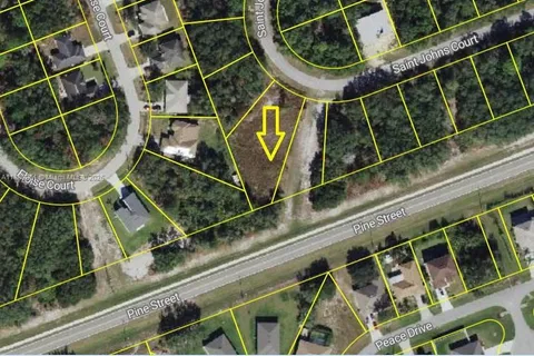 531 ST JOHNS CT, Other City - In The State Of Florida FL 34759