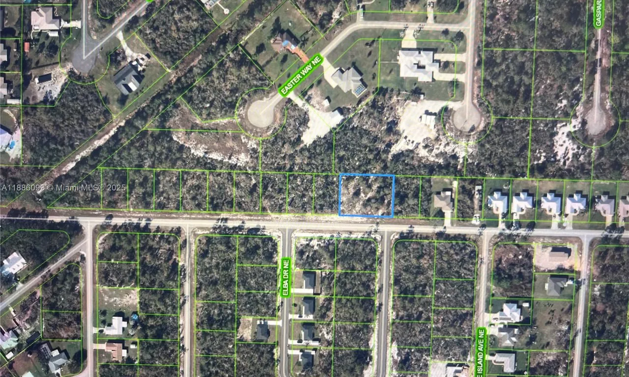 624 NE Aleutian ST, Lake Placid FL 33852