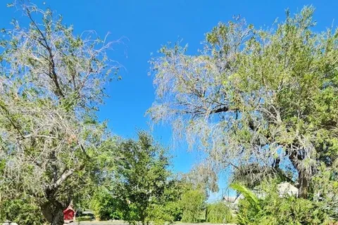 1792 Riverside Dr., Moore Haven FL 33471