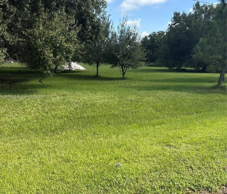 357 Horse Club, Clewiston FL 33440