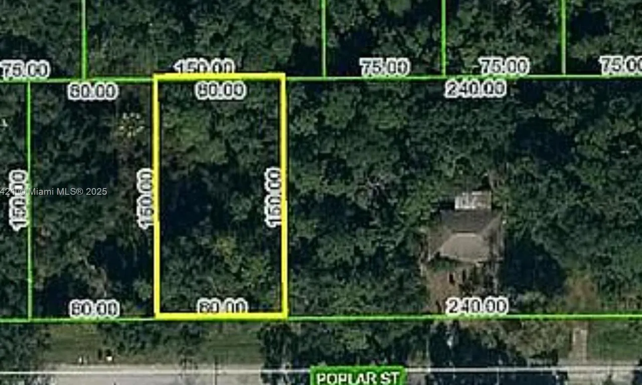 1508 Poplar St., Lake Placid FL 33852
