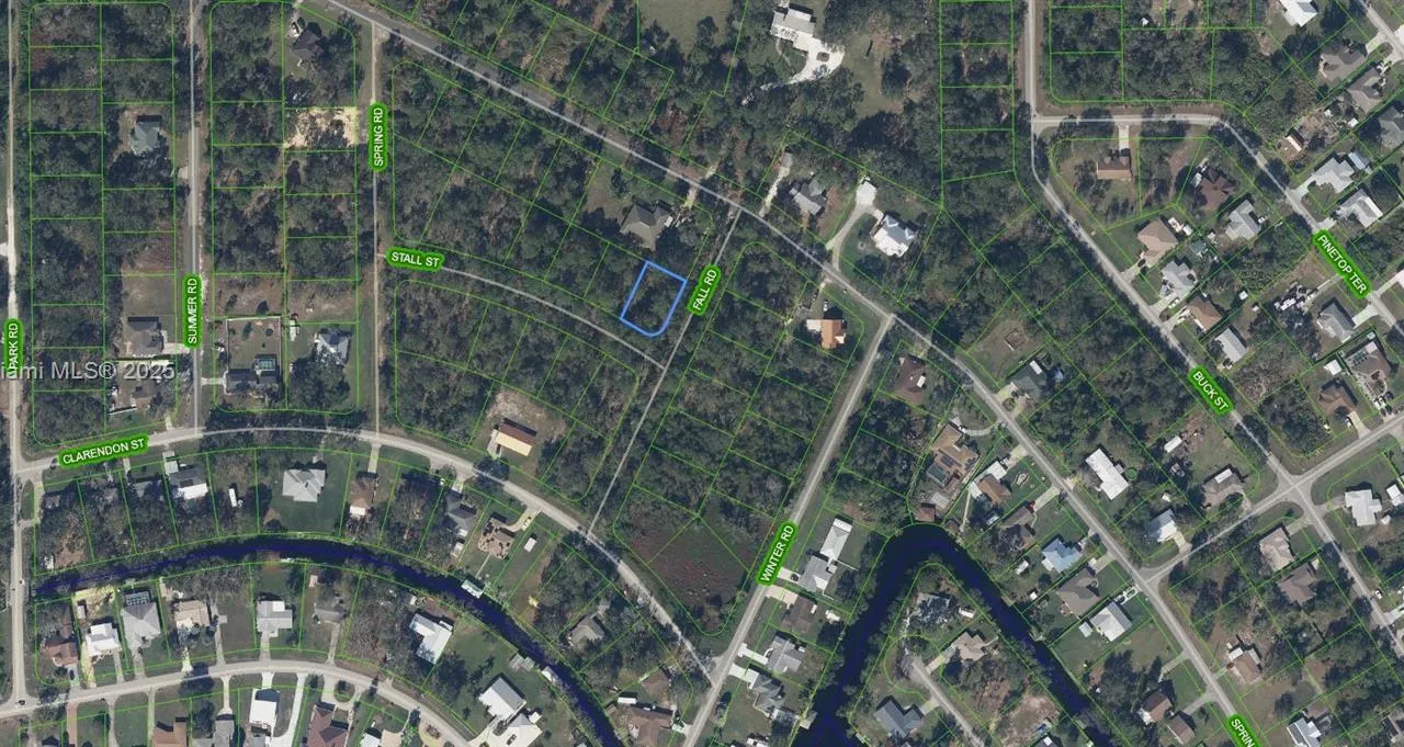 1431 stall street, Lake Placid FL 33852