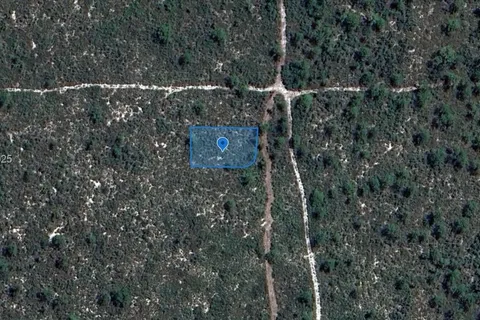 700 Watterson, Lake Placid FL 33852