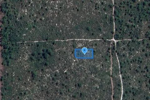 701 CAMDEN ST, Lake Placid FL 33852