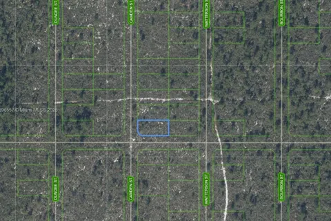 701 CAMDEN ST, Lake Placid FL 33852
