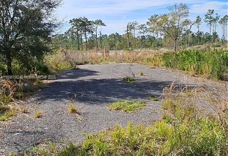 18150 11 Ave, Orlando FL 32833