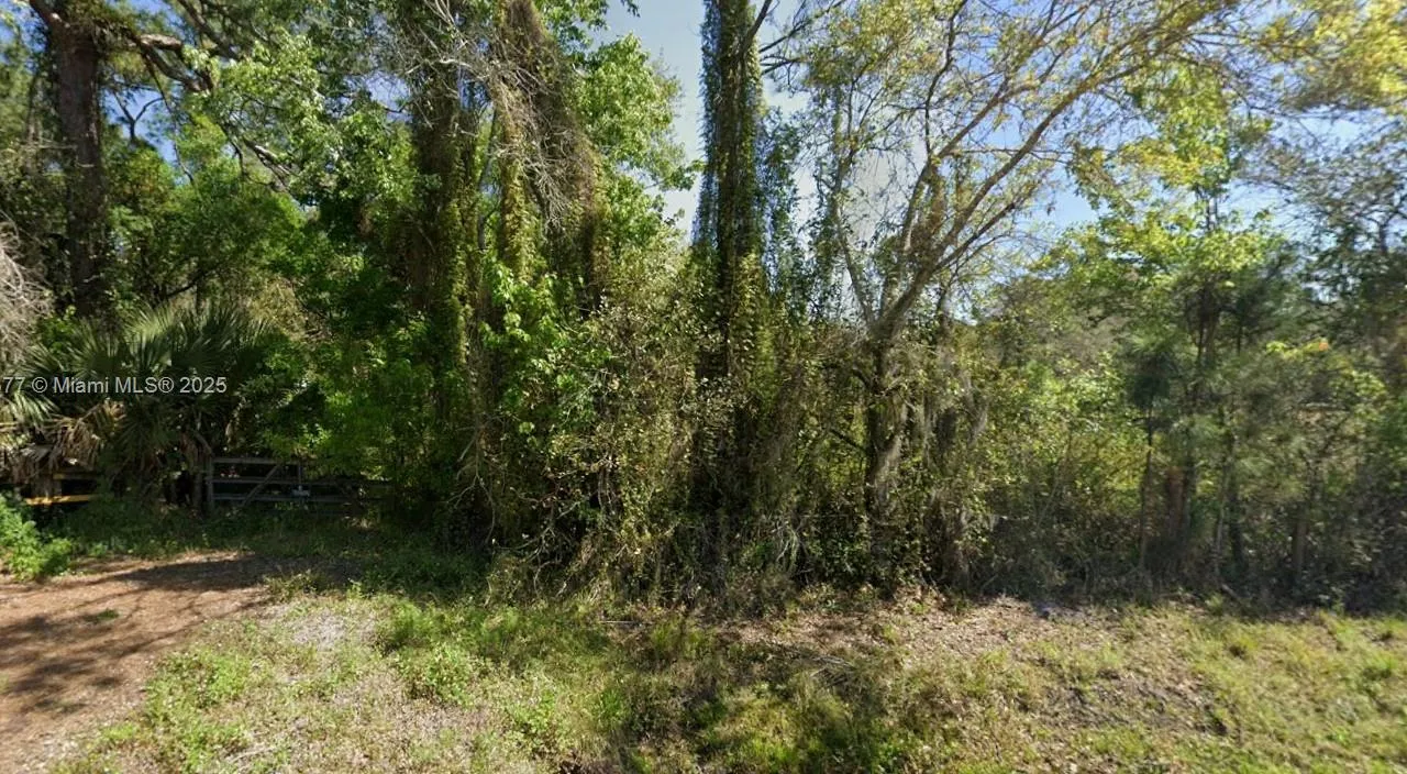 13012 NE 14th ave, Okeechobee FL 34972