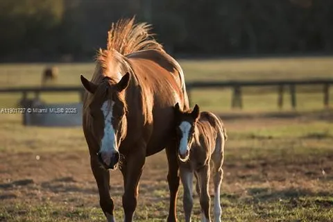 1535 B Rd, Loxahatchee FL 33470