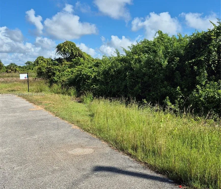 1505 S Sally Avenue, Lehigh Acres FL 33976