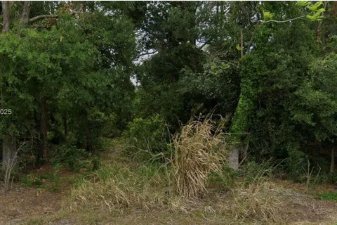 433 CLAREMONT AVE, Lake Placid FL 33852