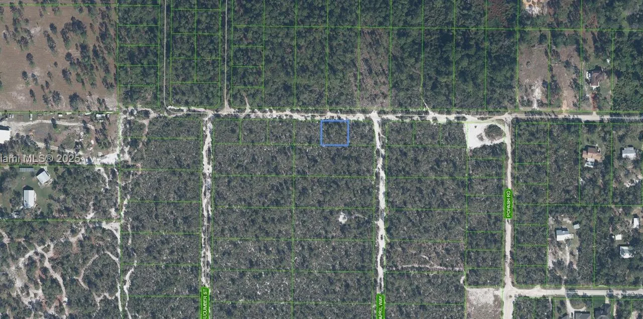 2215 Flower Terrace, Sebring FL 33875