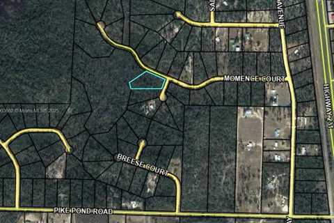 MOMENCE CT-Alford MOMENCE CT, Other City - In The State Of Florida FL 32420