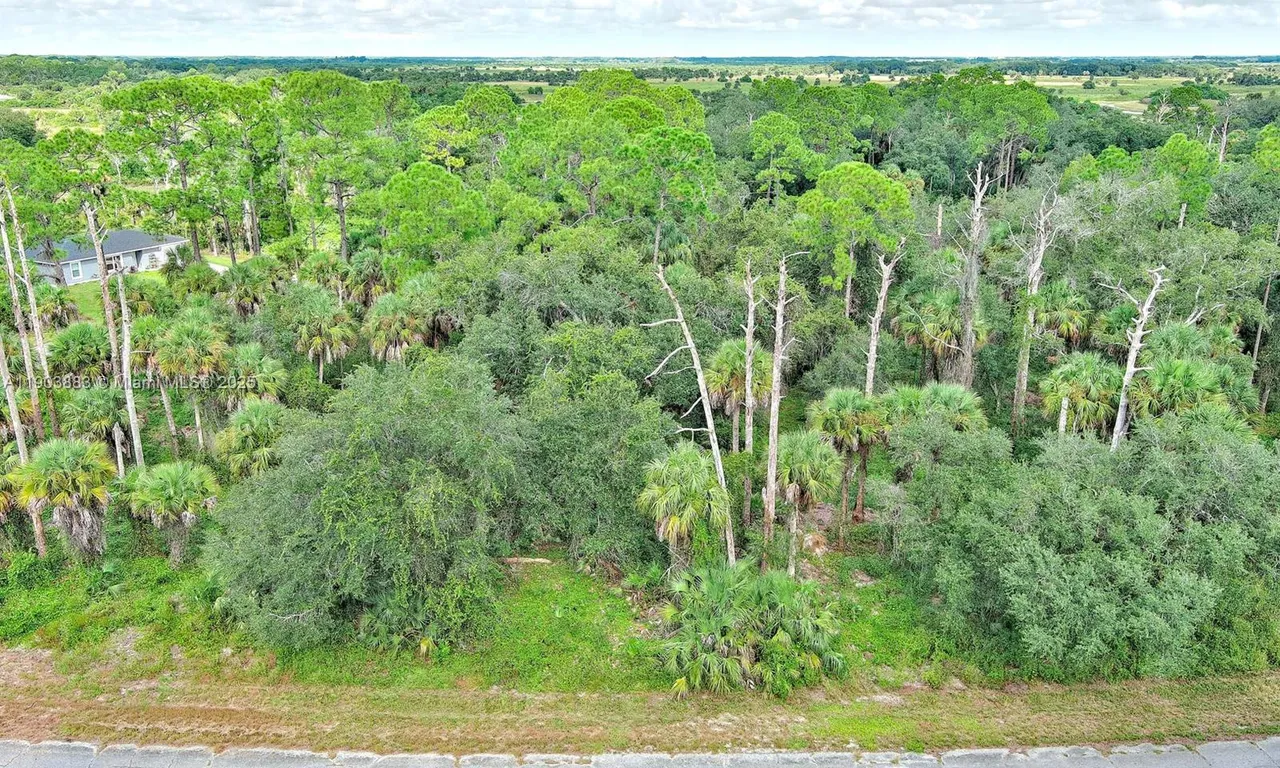 232 SPARKLE DR, La Belle FL 33935